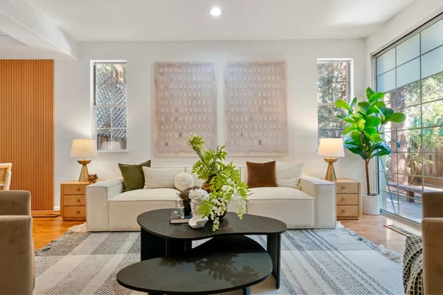a living room with furniture potted plant and a rug
