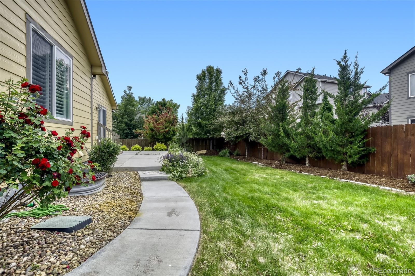 6803 Spruce Street Frederick, CO 80530 - Photo 16 of 31