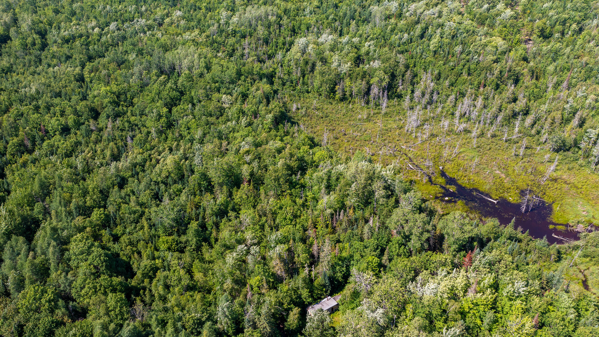 0 Miller Road New Vineyard, ME 04956 - Photo 19 of 48 MNewportland-13