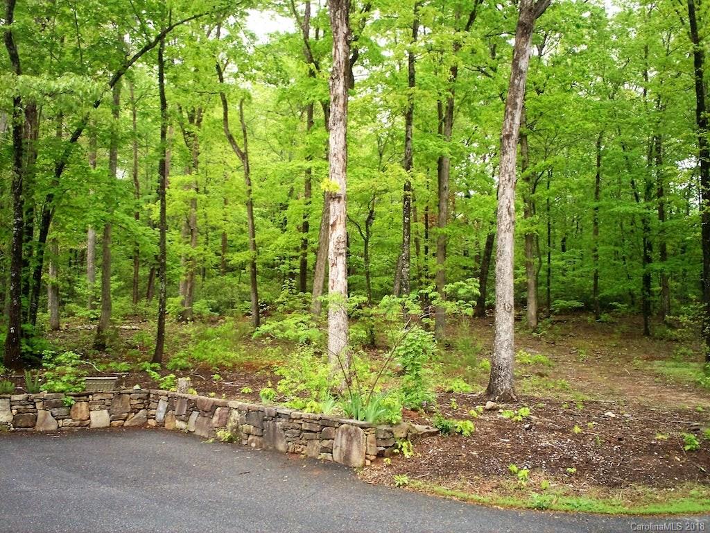 761 Laurel Ridge Road Columbus, NC 28722 - Photo 29 of 34 Gallery Image 29