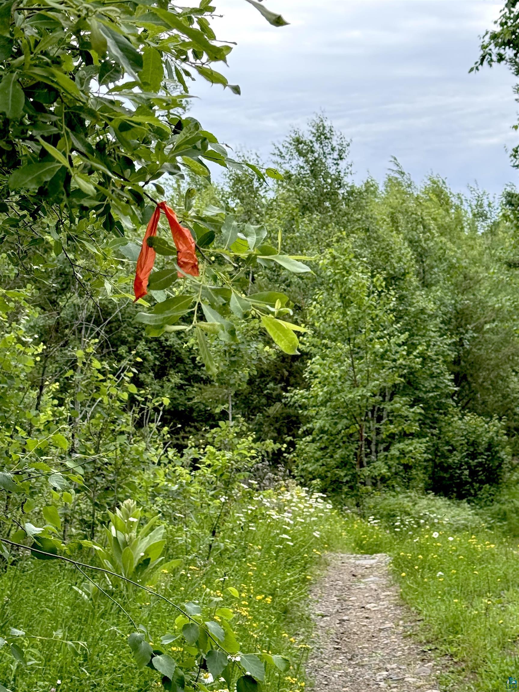 Tbd Onagon Lake Road Grand Marais, MN 55604 - Photo 9 of 14