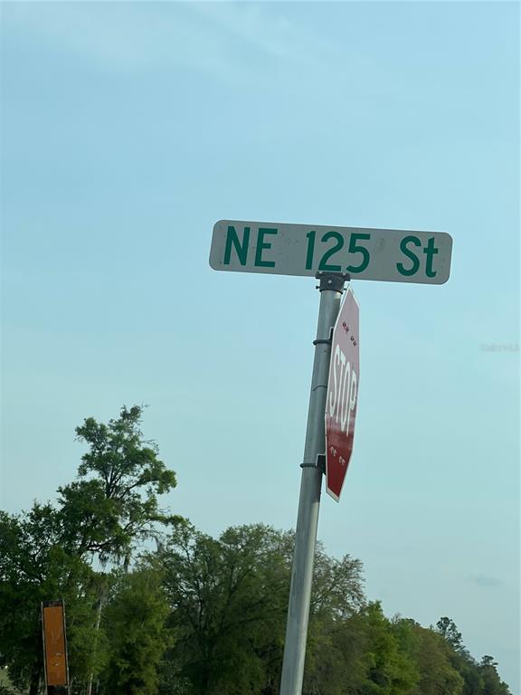 0 Northeast 125th Street Bronson, FL 32621 - Photo 10 of 11