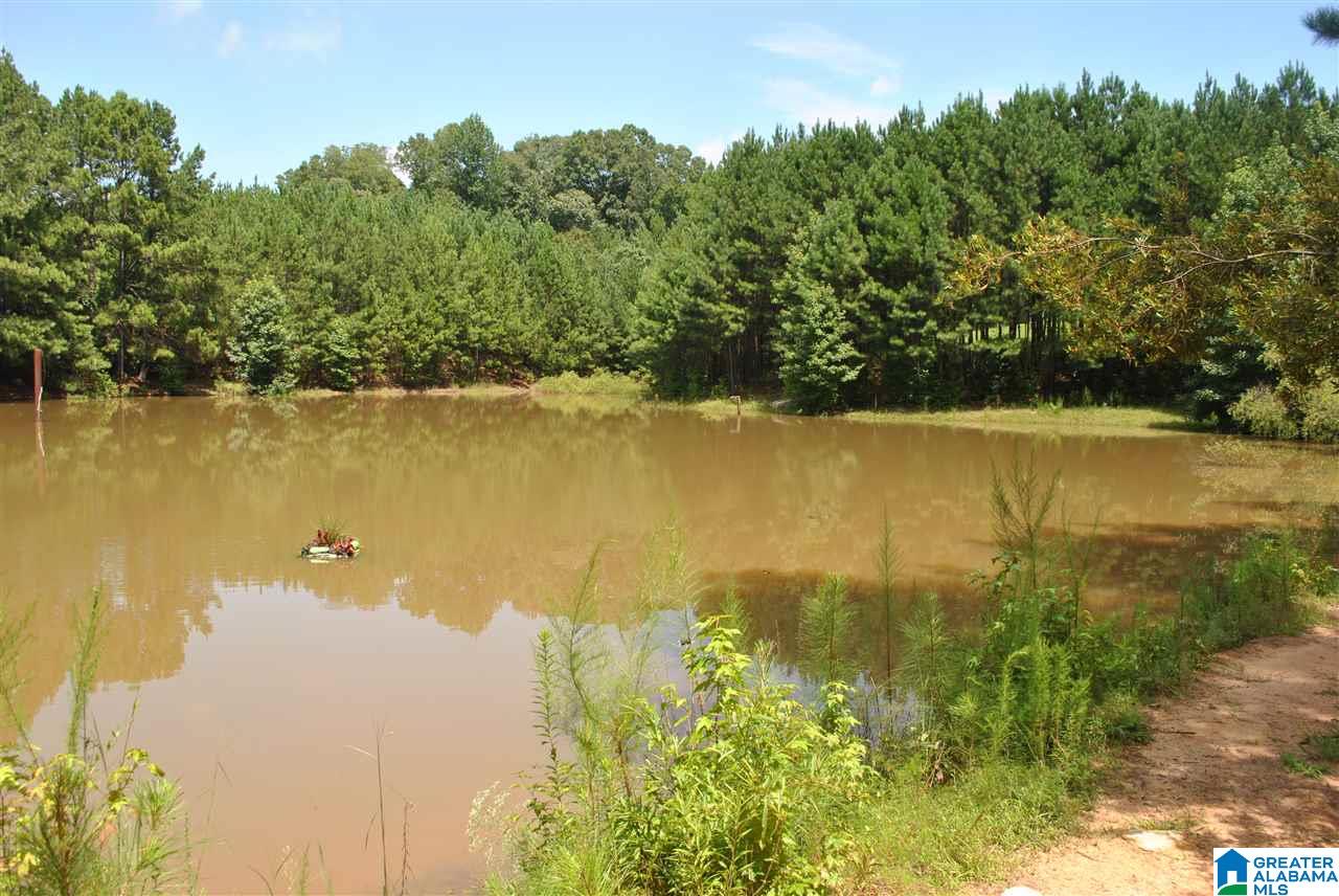 452 Turtleneck Road Alexander City, AL 35010 - Photo 28 of 29