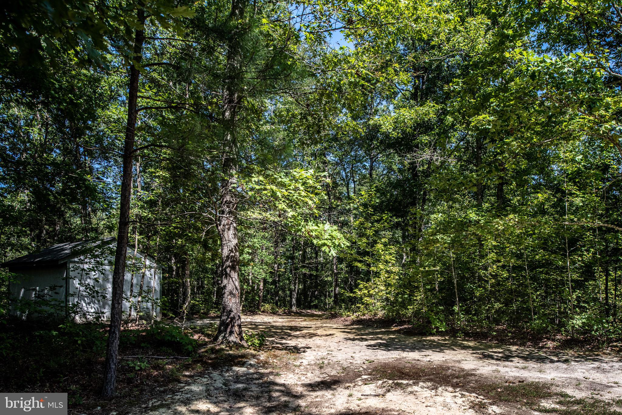 23206 Friendship Road Ruther Glen, VA 22546 - Photo 56 of 71 Gallery Image 56