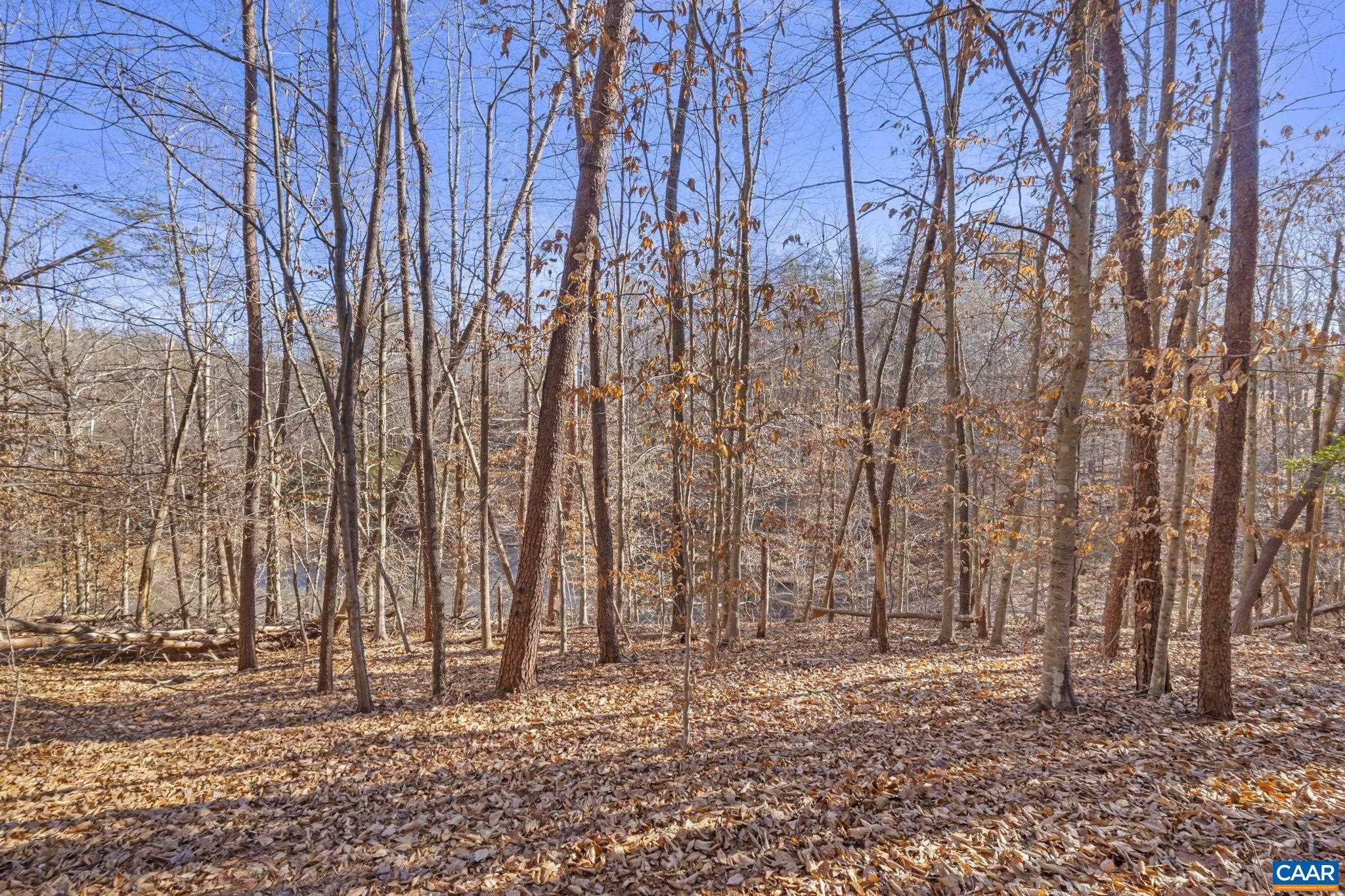 907 Broken Island Road Palmyra, VA 22963 - Photo 65 of 69