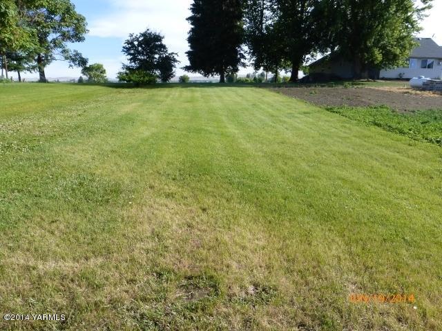 1640 Division Road Zillah, WA 98953 - Photo 29 of 49 a view of a field of grass and trees