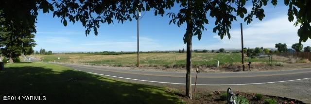1640 Division Road Zillah, WA 98953 - Photo 34 of 49 a view of a yard and palm tree