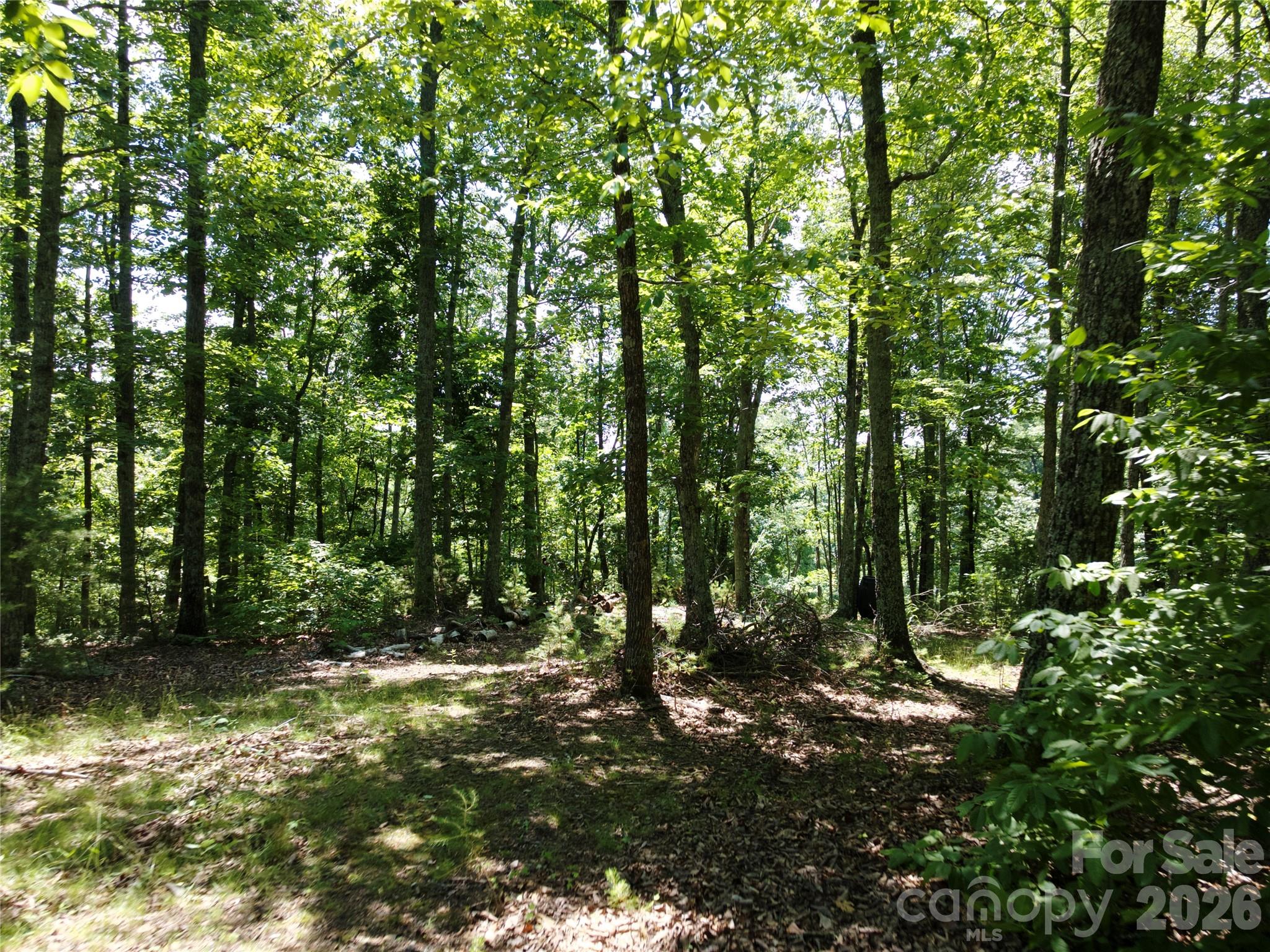 118 Upper Ridge Road Bostic, NC 28018 - Photo 10 of 13