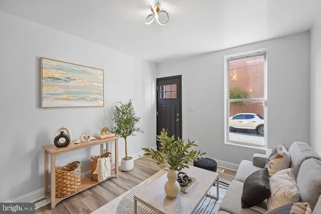 a living room with furniture and a potted plant