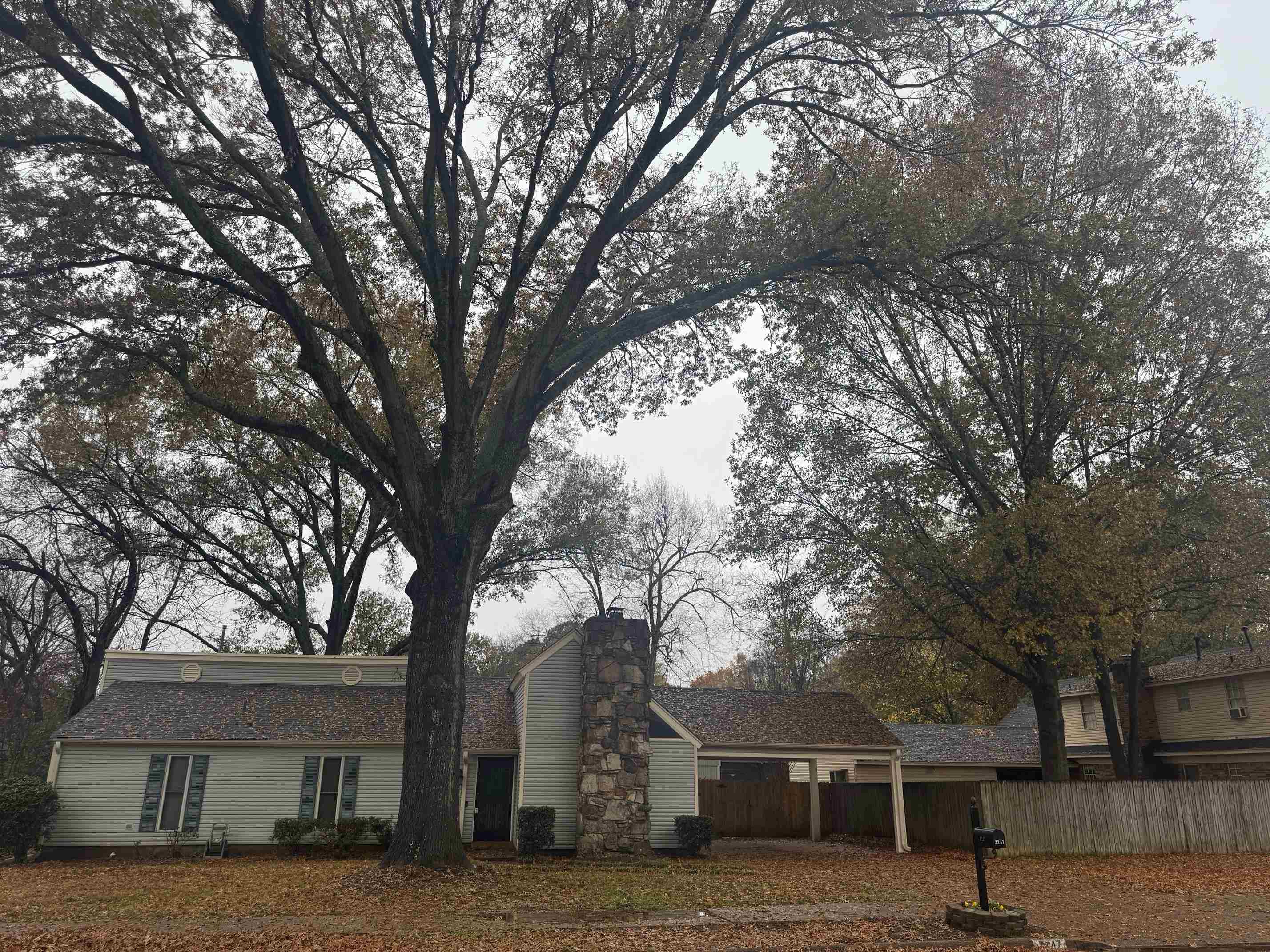 3247 Hulon Street Bartlett, TN 38134 - Photo 2 of 13