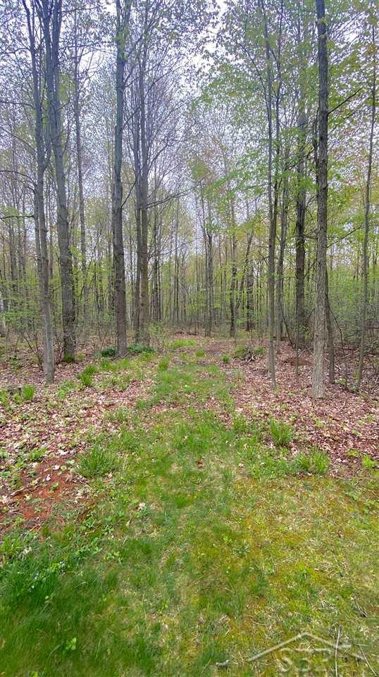 4157 South Badour Road Hemlock, MI 48626 - Photo 52 of 66