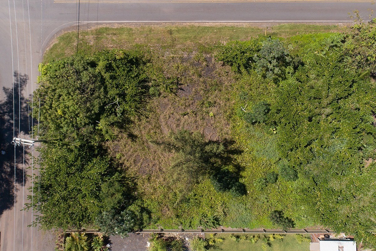 42 Beach Road Keaau, HI 96749 - Photo 20 of 23 Gallery Image 20