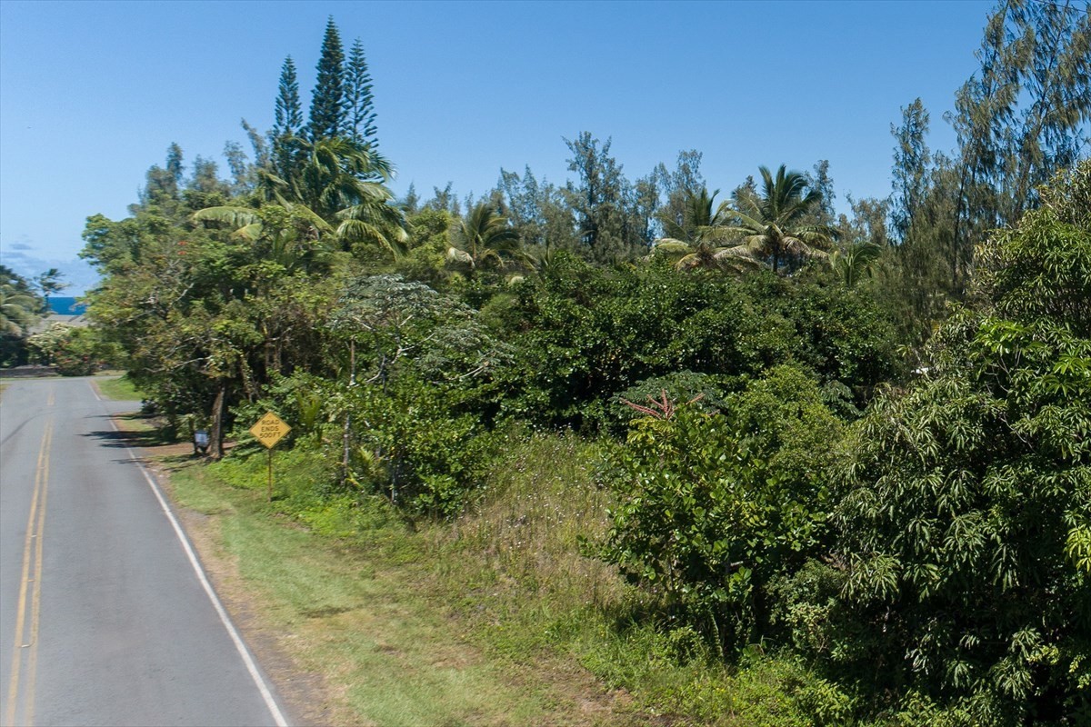 42 Beach Road Keaau, HI 96749 - Photo 4 of 23 Gallery Image 4