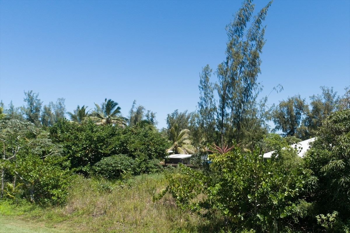 42 Beach Road Keaau, HI 96749 - Photo 8 of 23 Gallery Image 8