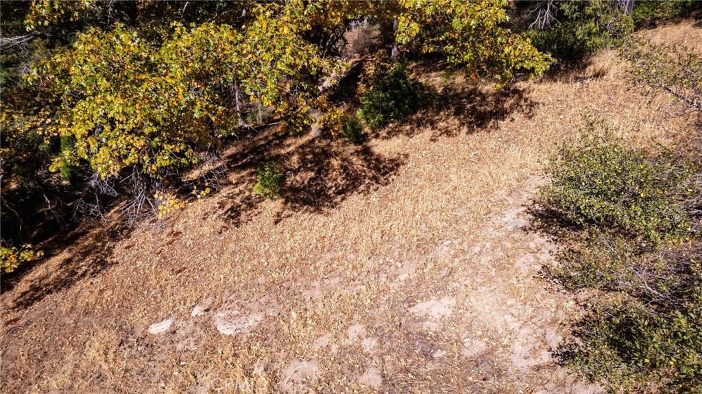 0 Mojave Road Cedarpines Park, CA 92322 - Photo 10 of 41