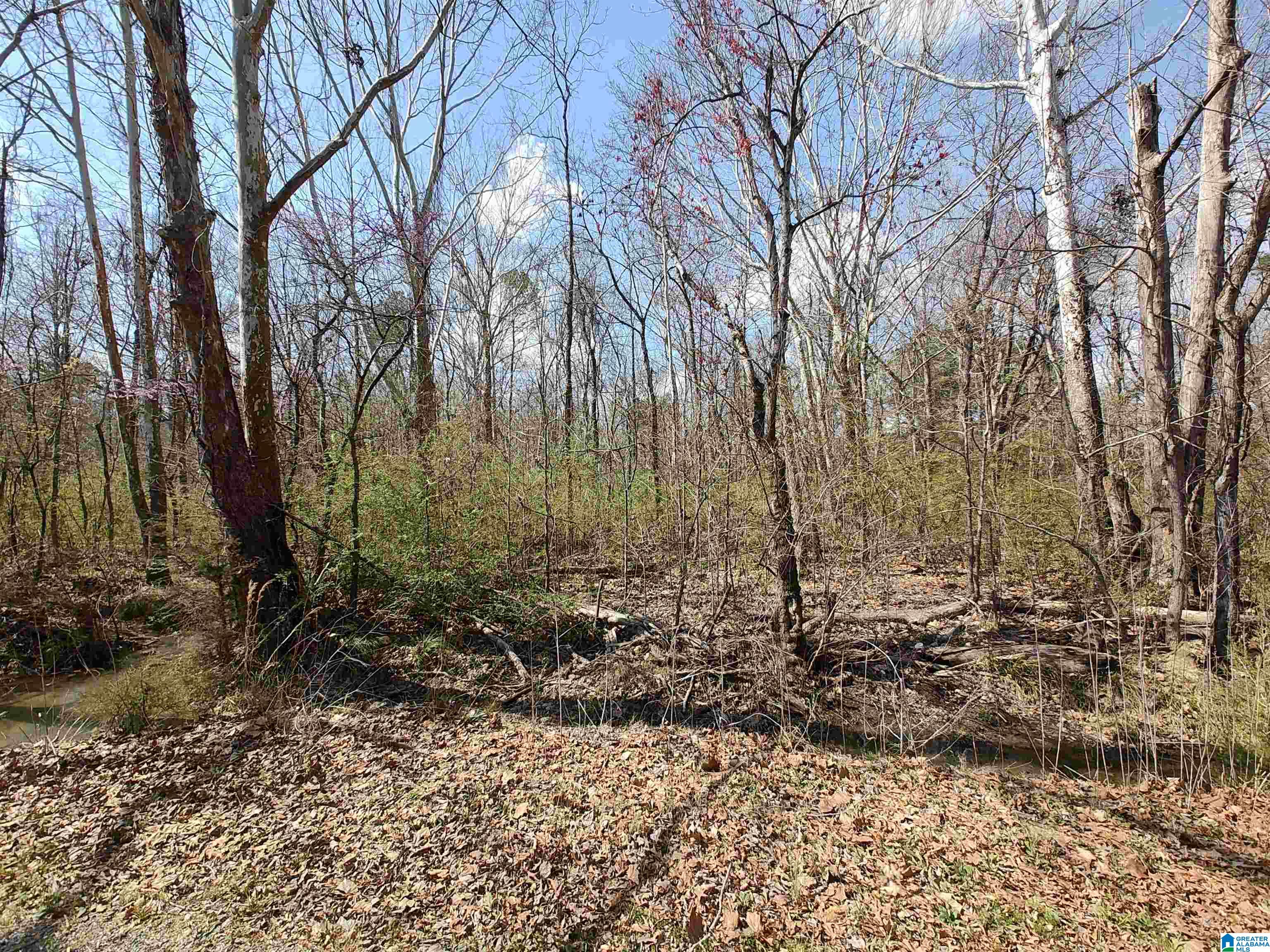 0 Meadow Circle Sylacauga, AL 35150 - Photo 2 of 6