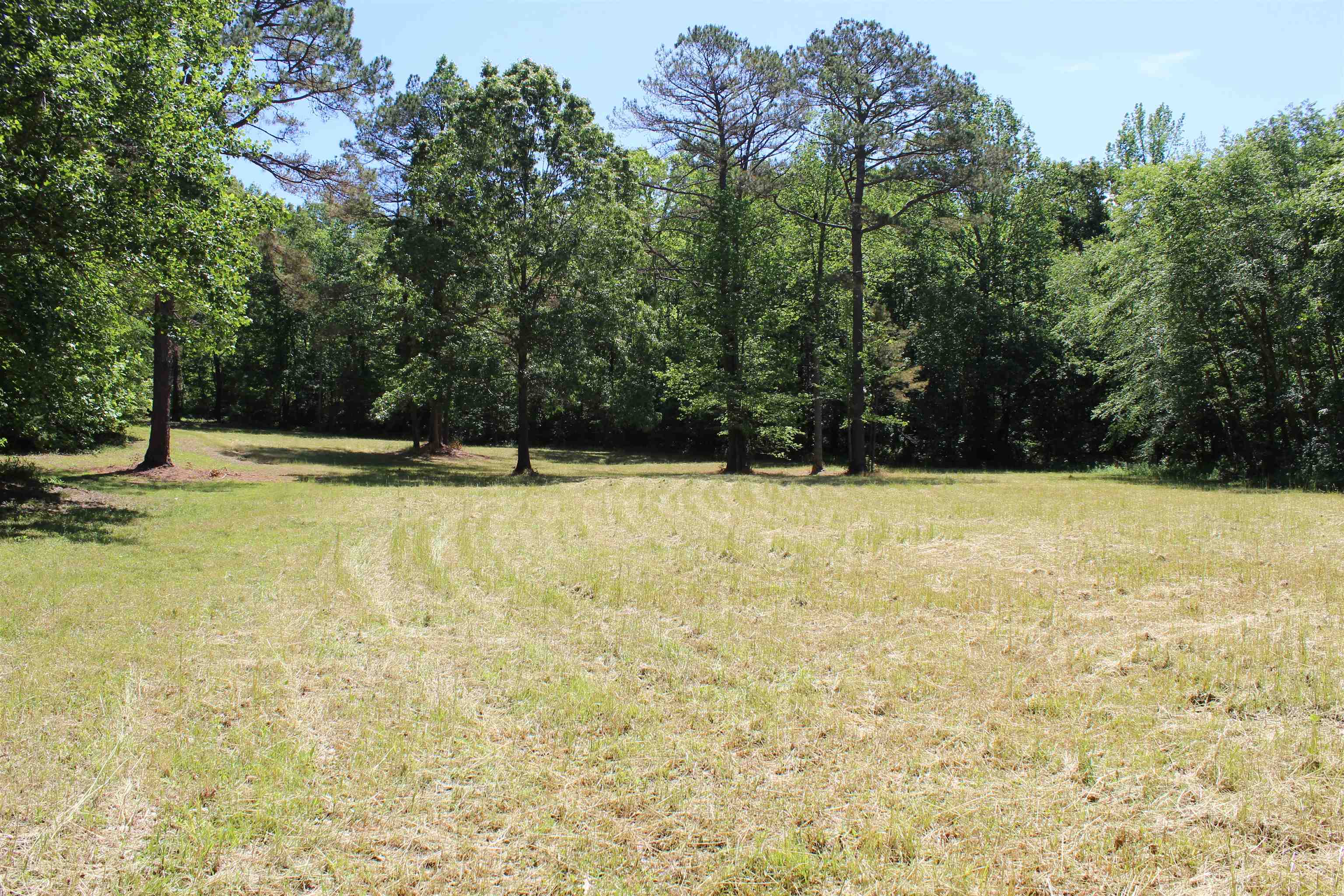 3360 Ebenezer Road Toone, TN 38381 - Photo 30 of 40