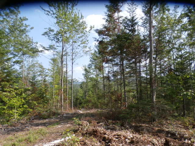 34.57 Concord Pond Road Bryant Pond, ME 04219 - Photo 4 of 46 P7168048
