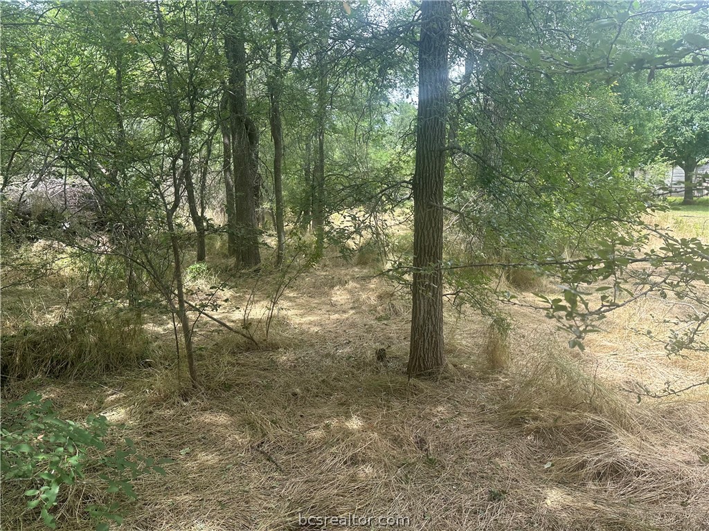 Tbd West Mitchell Calvert, TX 77837 - Photo 1 of 1 Gallery Image 1