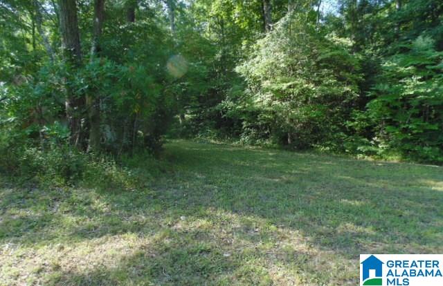695 Browns Valley Road Pell City, AL 35128 - Photo 11 of 11