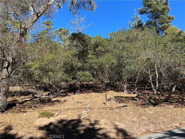 a black and white photo of a painting