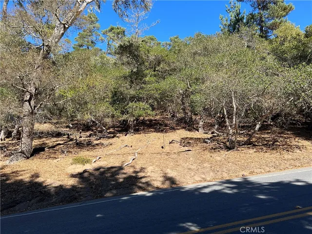 a view of an outdoor space