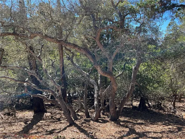 $15,000 | 2275 Leona Drive, Cambria, CA 93428