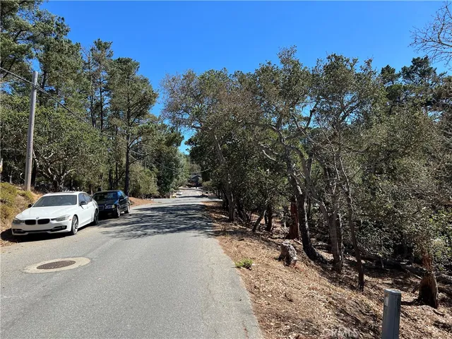 a view of a dry yard with trees