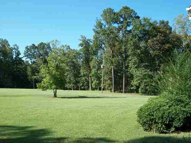 158 Easy Street Georgetown, SC 29440 - Photo 6 of 15