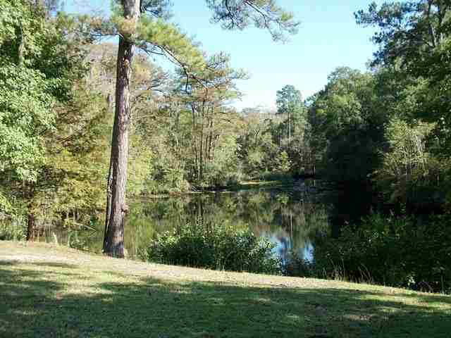 158 Easy Street Georgetown, SC 29440 - Photo 7 of 15