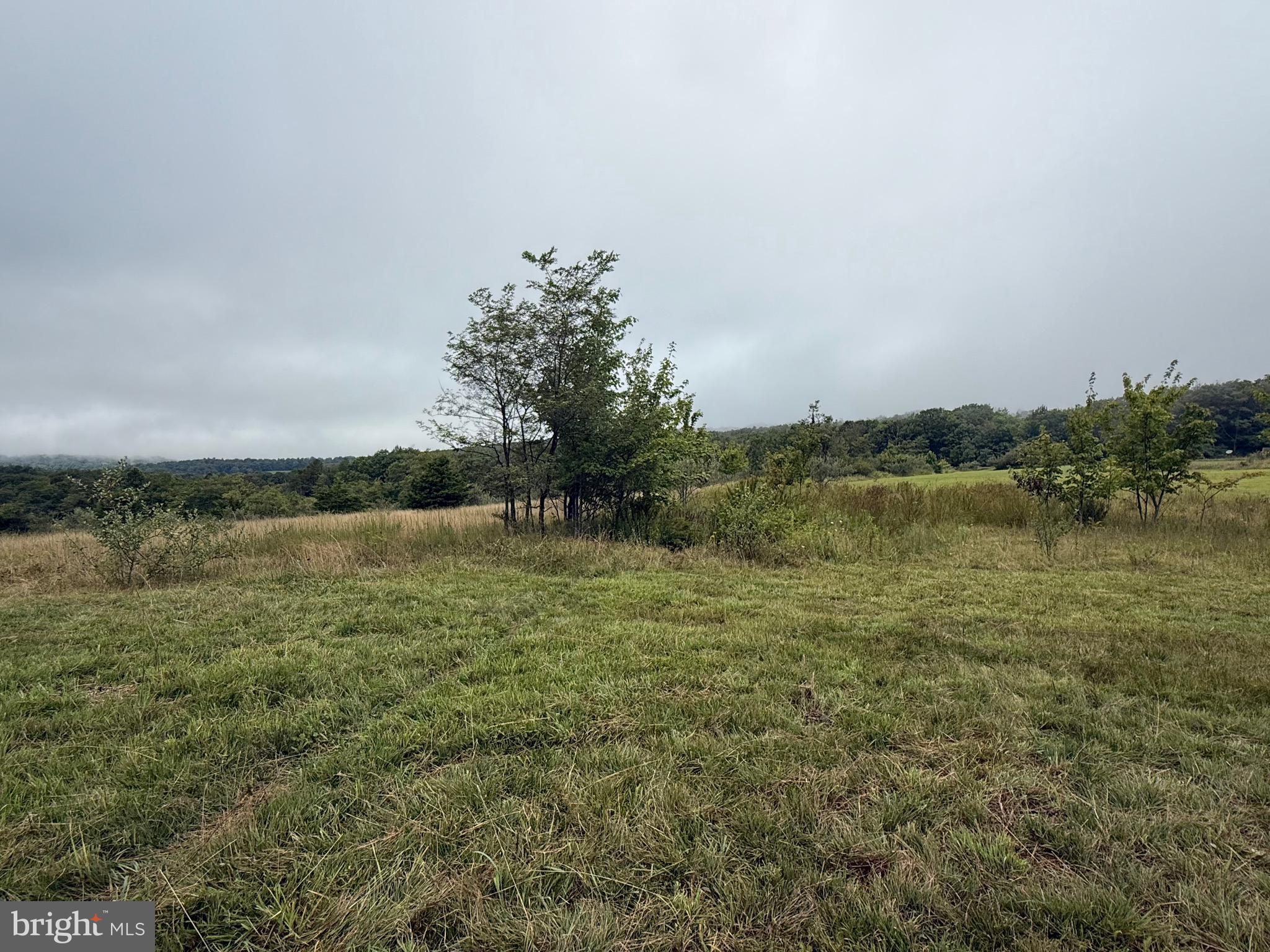 0 Pinnacle Road Keyser, WV 26726 - Photo 23 of 61