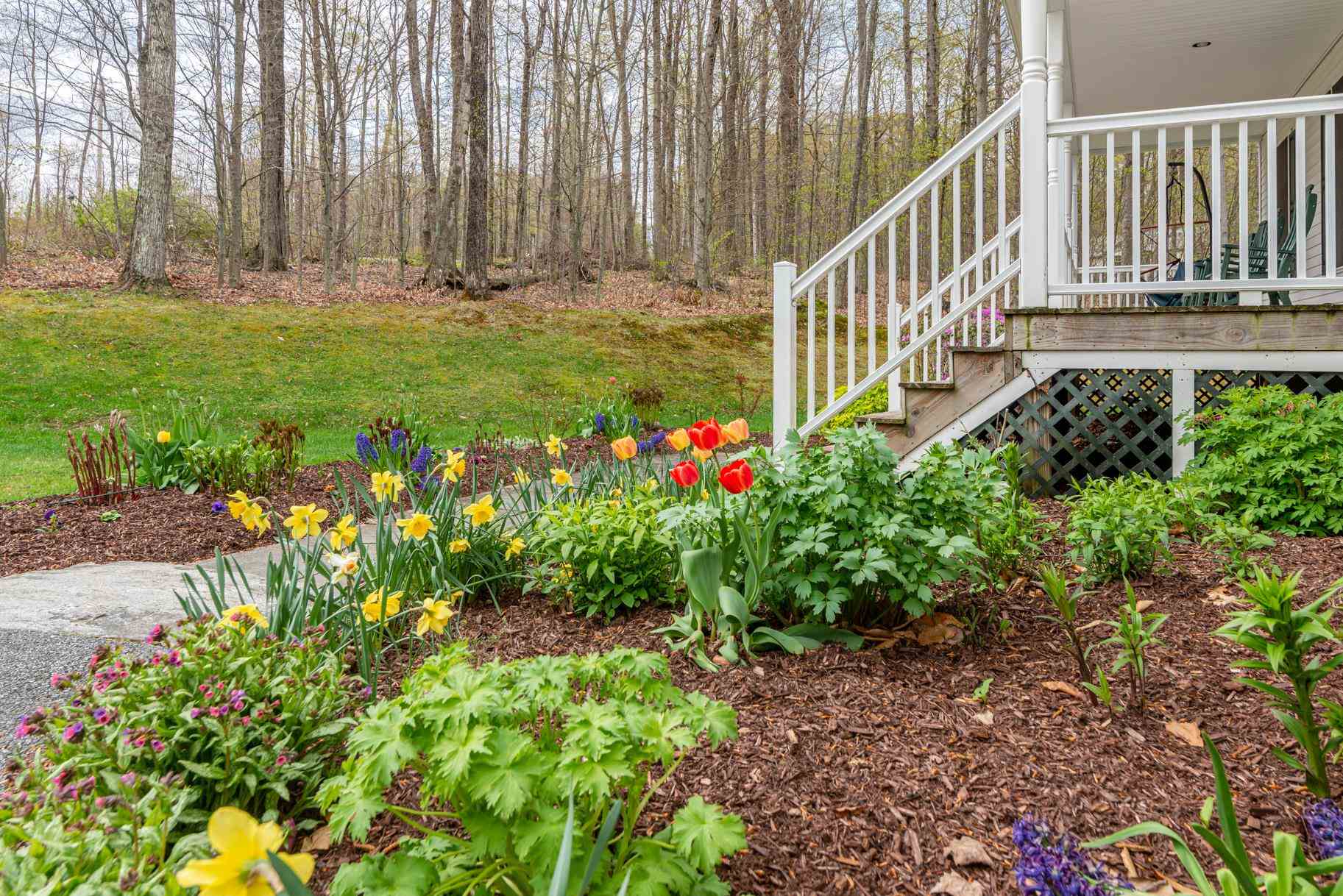 3731 N Road Sunderland, VT 05250 - Photo 23 of 24 Gallery Image 23