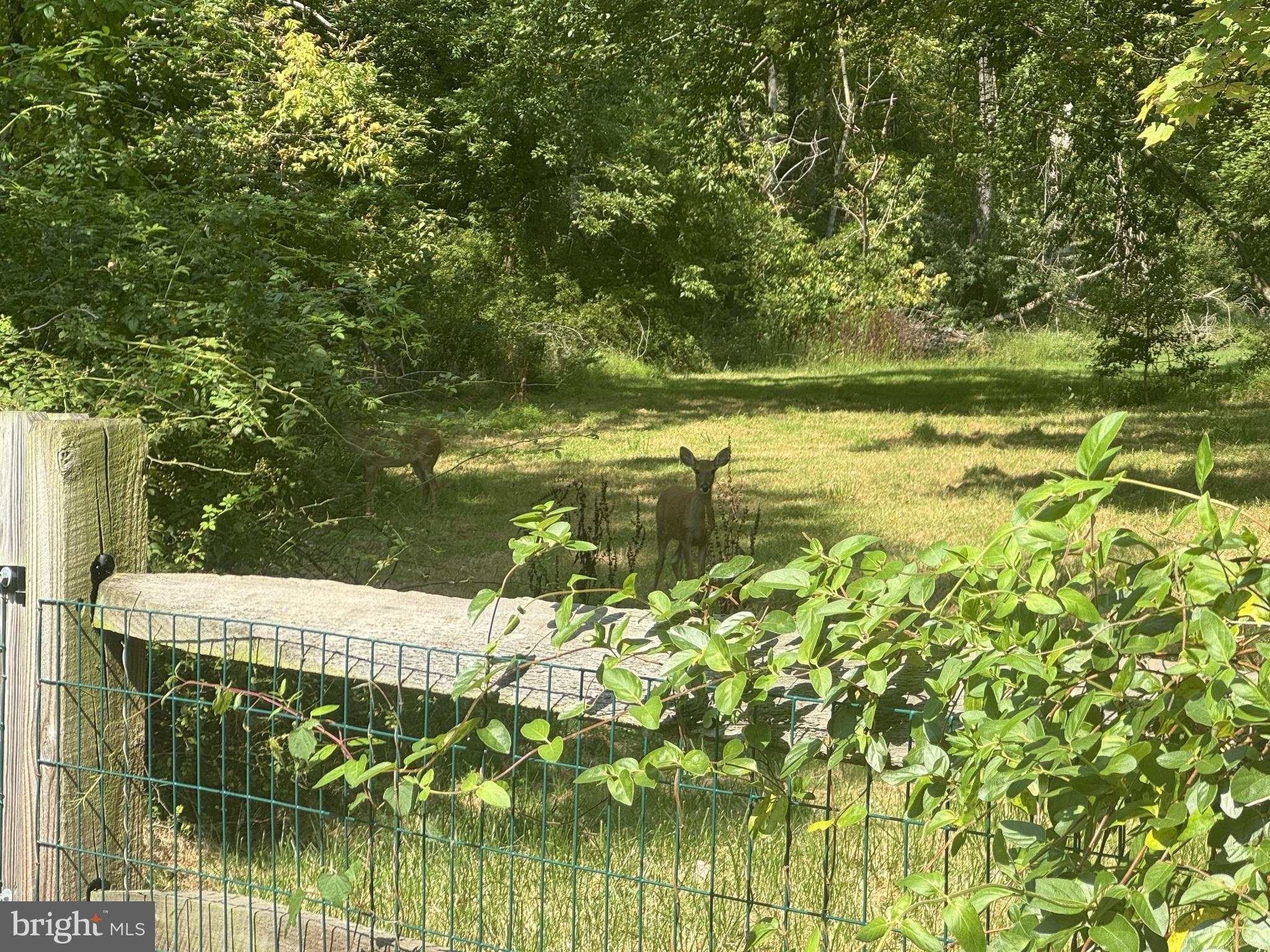 503 Faraday Road Hockessin, DE 19707 - Photo 4 of 24 Locals