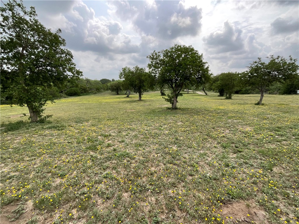 5889 Hidden Valley Loop Sandia, TX 78383 - Photo 28 of 36