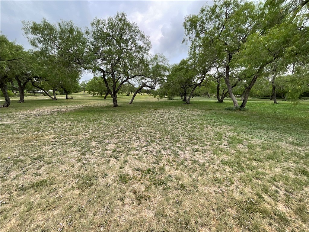 5889 Hidden Valley Loop Sandia, TX 78383 - Photo 6 of 36