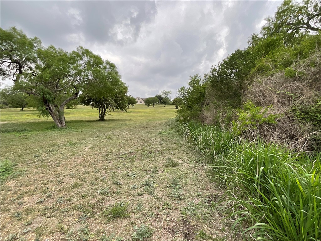 5889 Hidden Valley Loop Sandia, TX 78383 - Photo 7 of 36