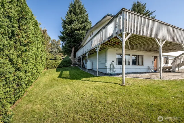 a view of a backyard with plants and large trees