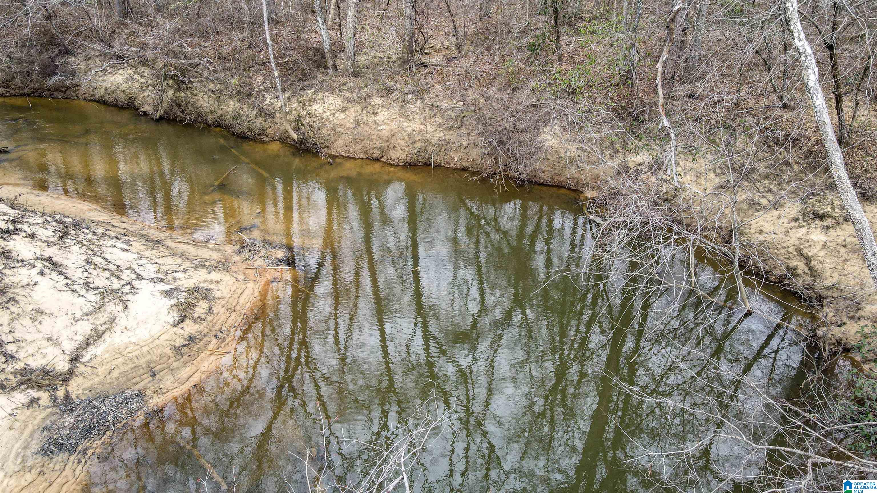 339 County Road Nauvoo, AL 35578 - Photo 21 of 57