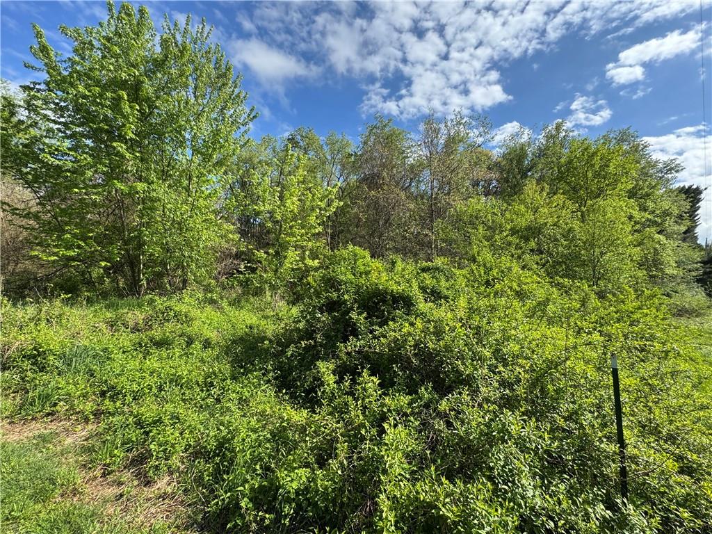 690 Gun Club Road Uniontown, PA 15401 - Photo 4 of 9 a view of a lush green forest