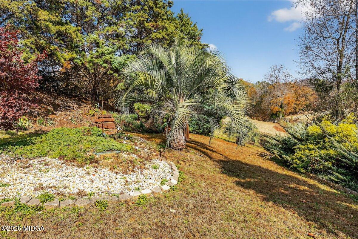 518 River Overlook Forsyth, GA 31029 - Photo 66 of 96 068-5W7A2674