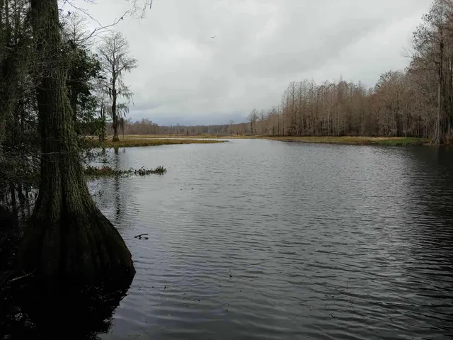 $198,000 | Lot 8 Sneads Drive, Greenville, FL 32331