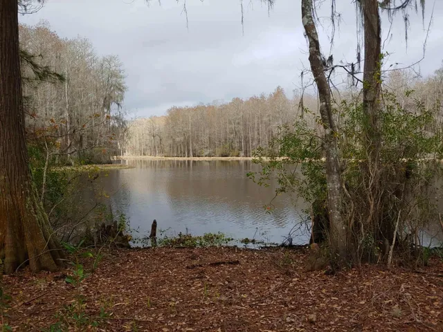 $198,000 | Lot 8 Sneads Drive, Greenville, FL 32331