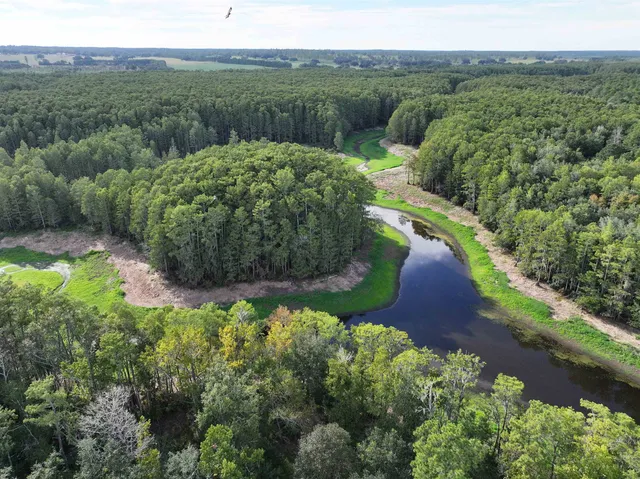 $198,000 | Lot 8 Sneads Drive, Greenville, FL 32331