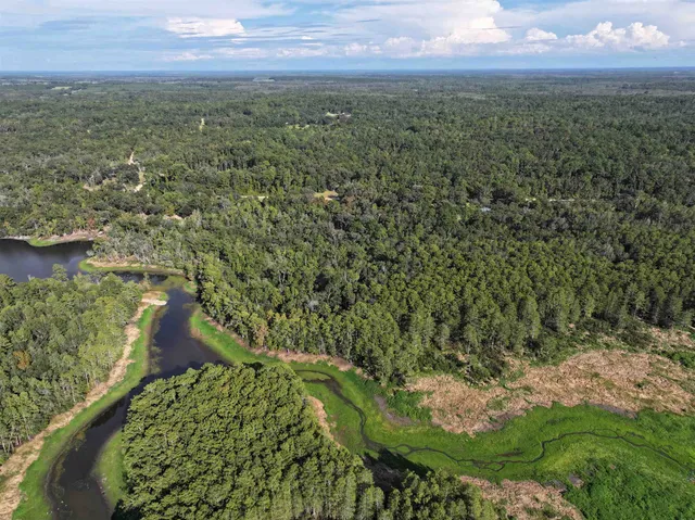 $198,000 | Lot 8 Sneads Drive, Greenville, FL 32331