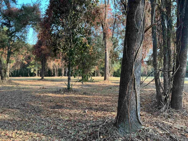 $198,000 | Lot 8 Sneads Drive, Greenville, FL 32331