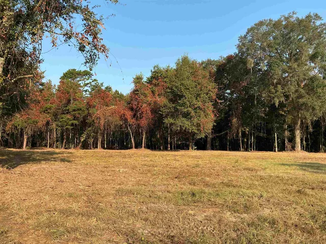 $198,000 | Lot 8 Sneads Drive, Greenville, FL 32331