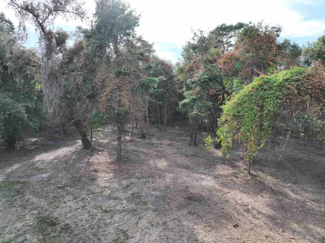 $198,000 | Lot 8 Sneads Drive, Greenville, FL 32331