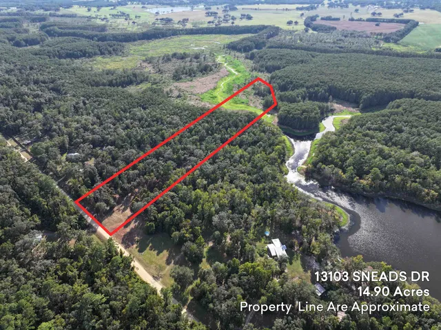 $198,000 | Lot 8 Sneads Drive, Greenville, FL 32331