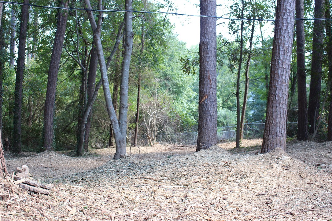 112 Horseshoe Road Central, SC 29630 - Photo 5 of 26 Large low maintenance backyard