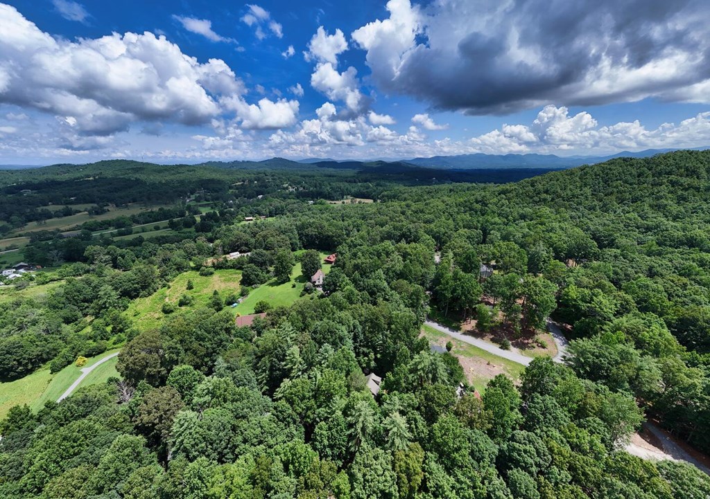 320 Roberts Road Blairsville, GA 30512 - Photo 40 of 42 Gallery Image 40